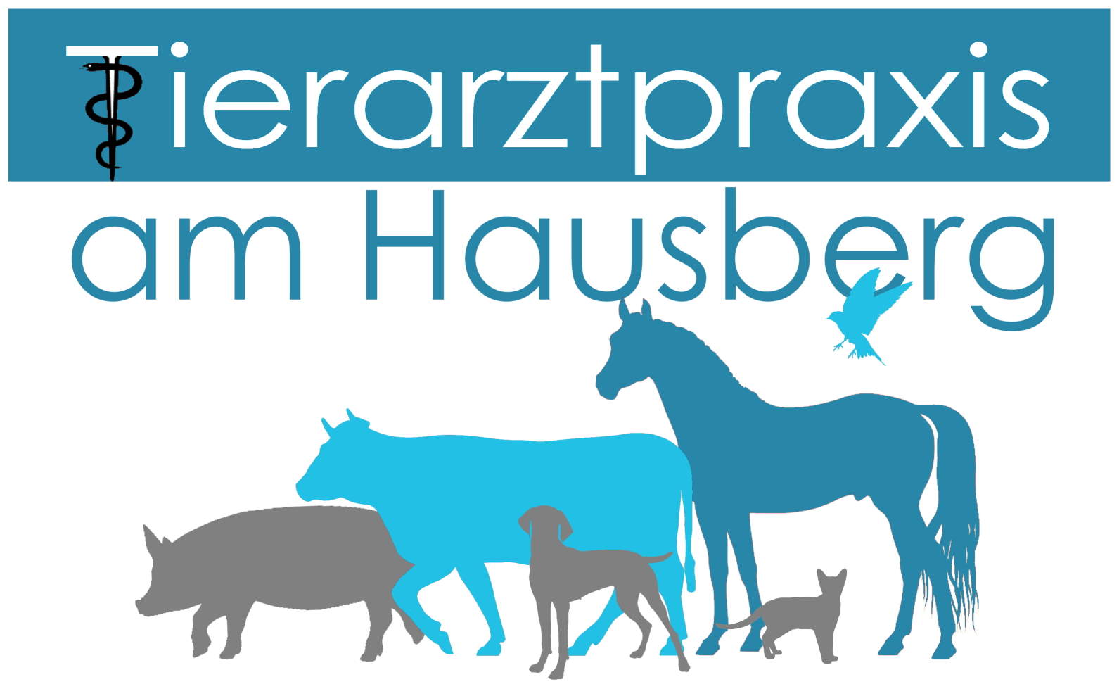 Logo Praxis am Hausberg